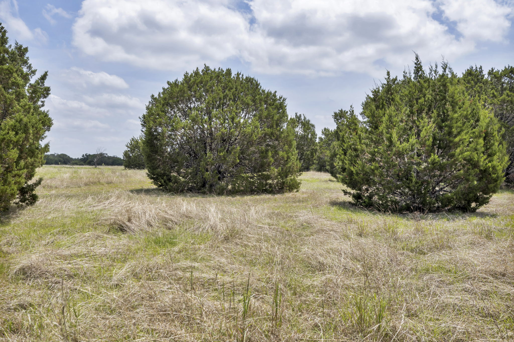 2888 Cedar Hollow Rd, Georgetown, TX 78628, USA Photo 12