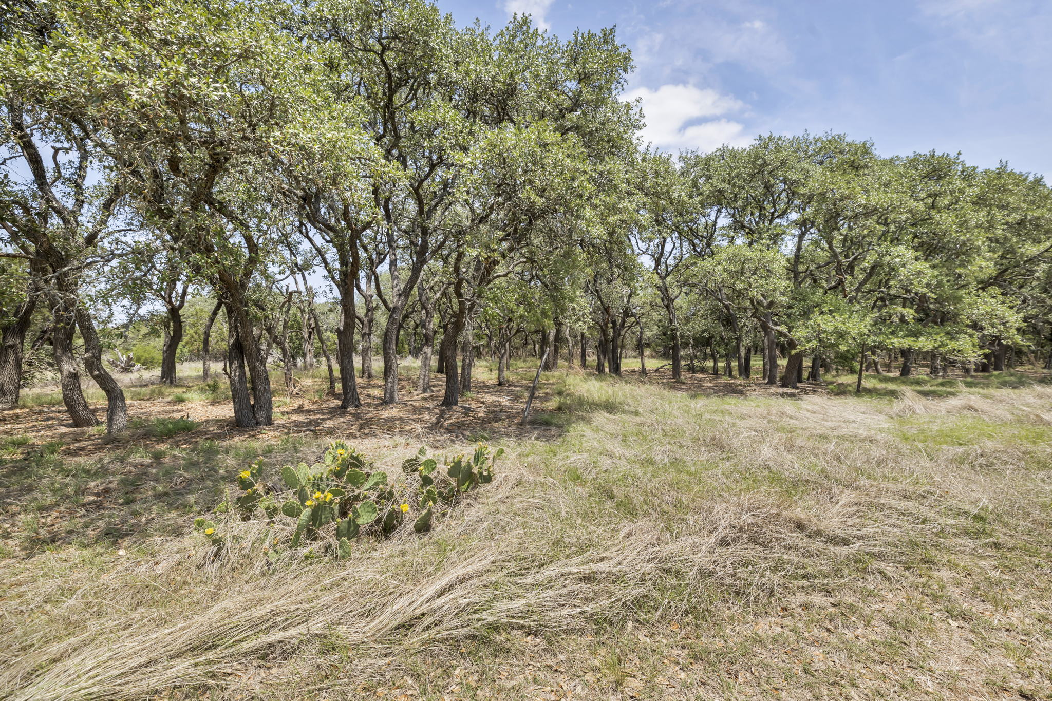 2888 Cedar Hollow Rd, Georgetown, TX 78628, USA Photo 20