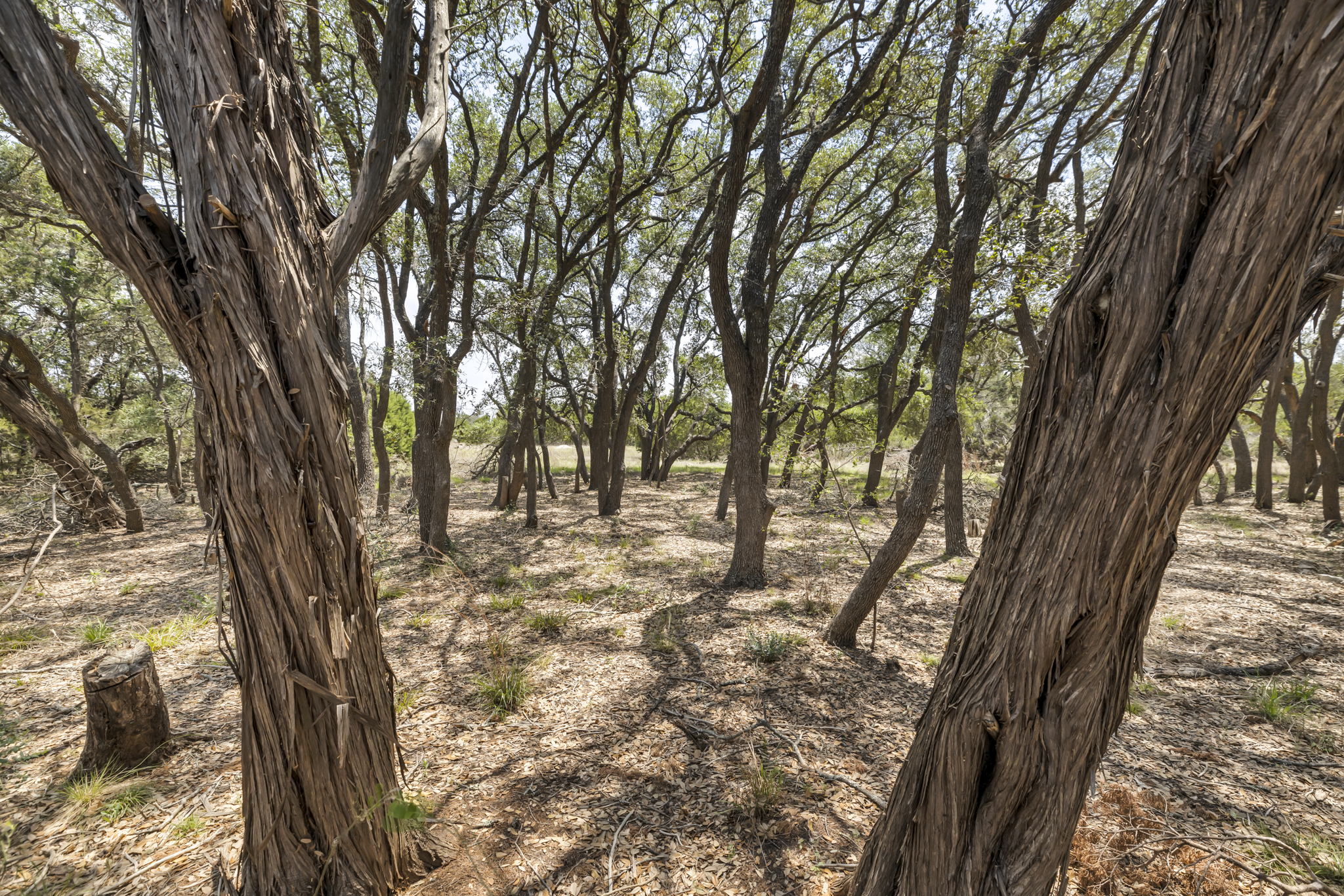 2888 Cedar Hollow Rd, Georgetown, TX 78628, USA Photo 21
