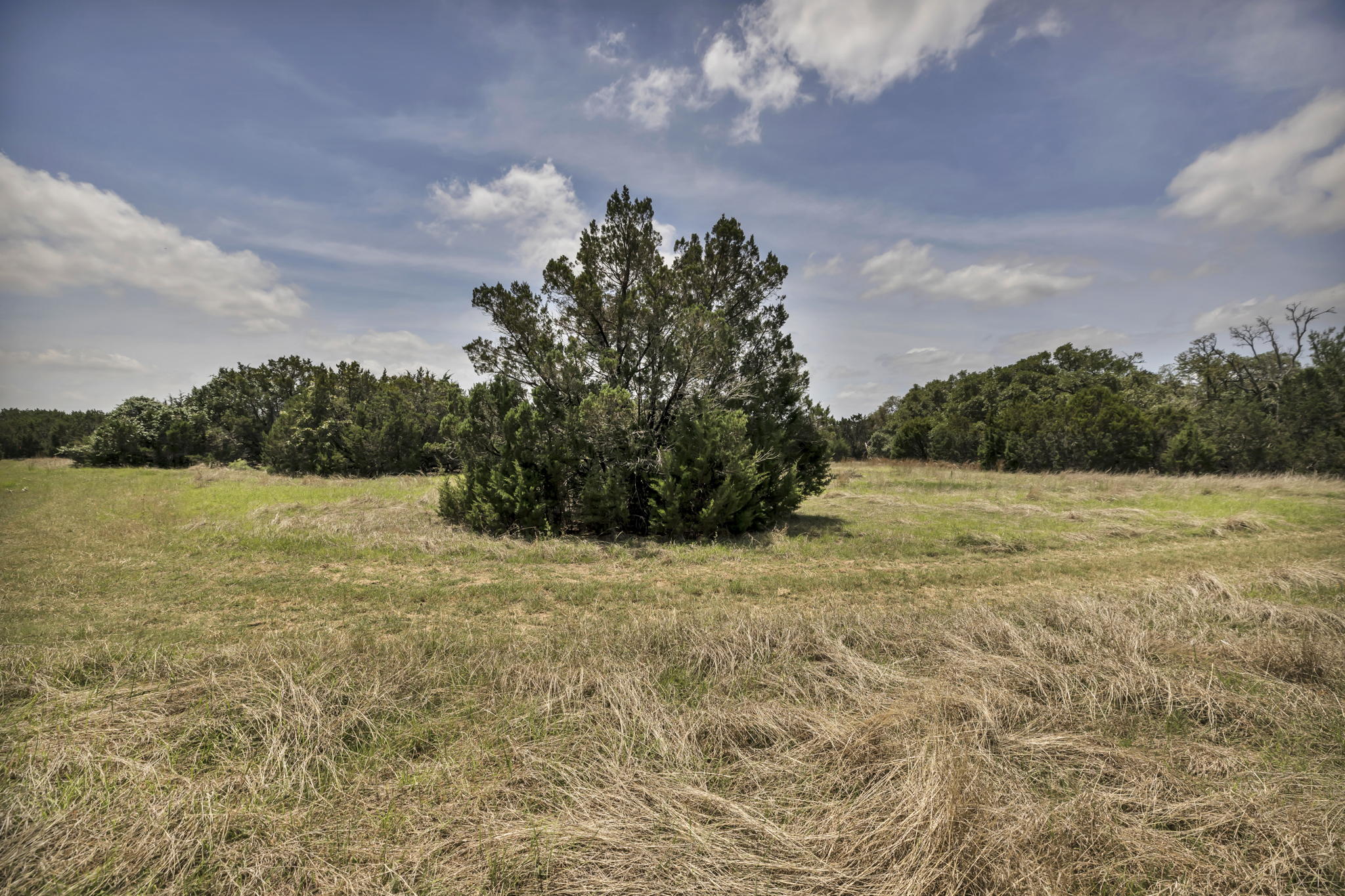2888 Cedar Hollow Rd, Georgetown, TX 78628, USA Photo 15