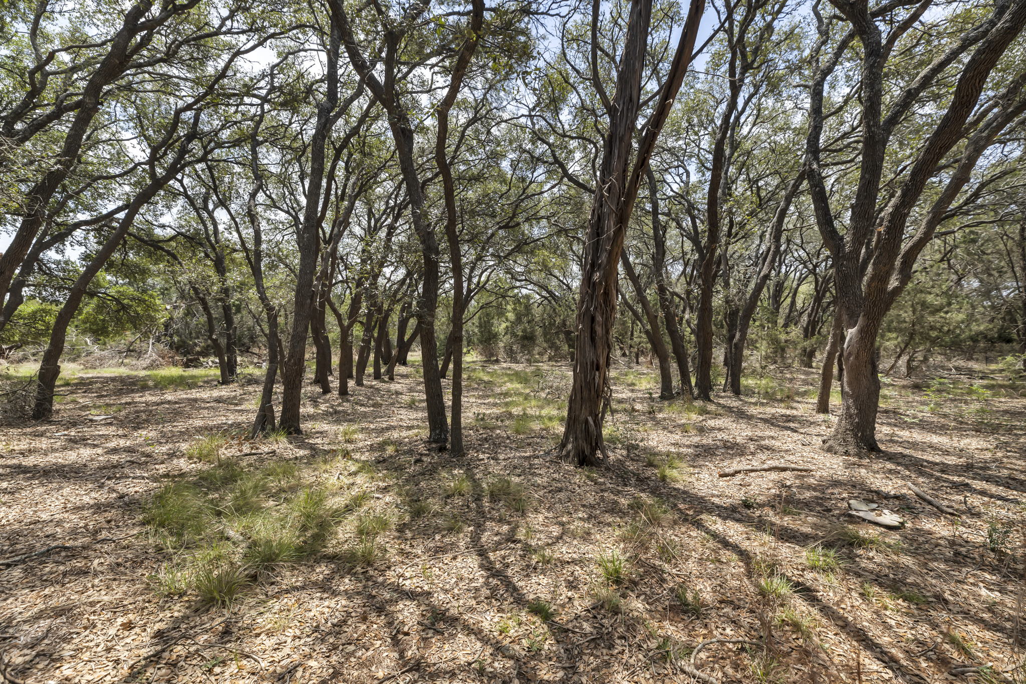 2888 Cedar Hollow Rd, Georgetown, TX 78628, USA Photo 7