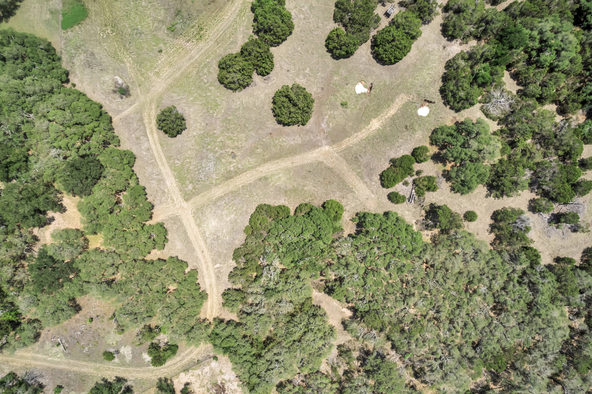 2888 Cedar Hollow Rd, Georgetown, TX 78628, USA Photo 37