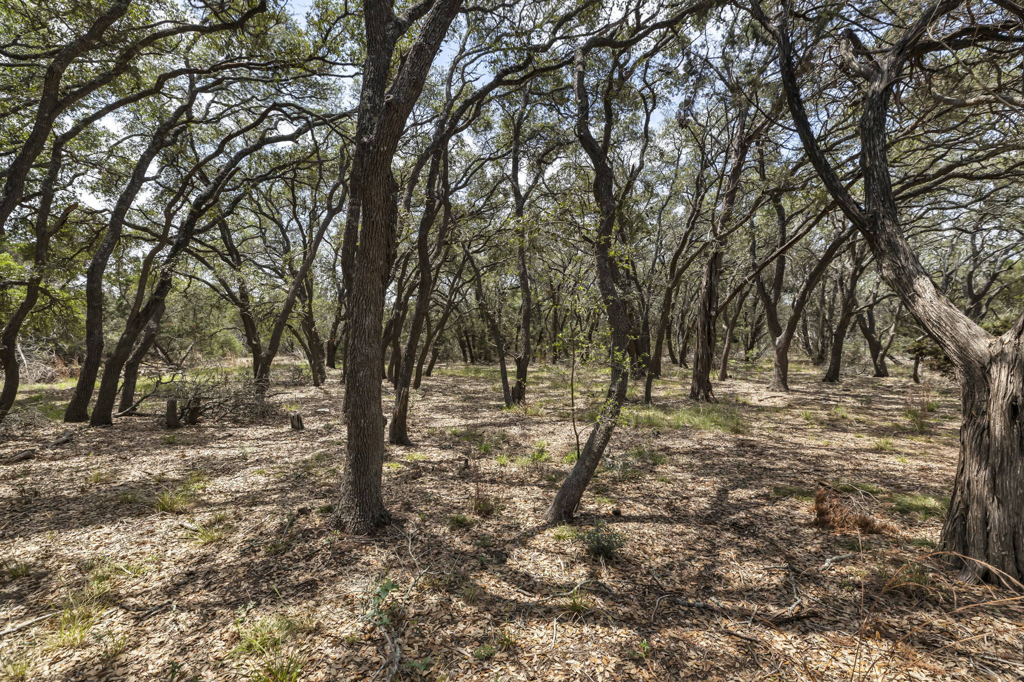 2888 Cedar Hollow Rd, Georgetown, TX 78628, USA Photo 6