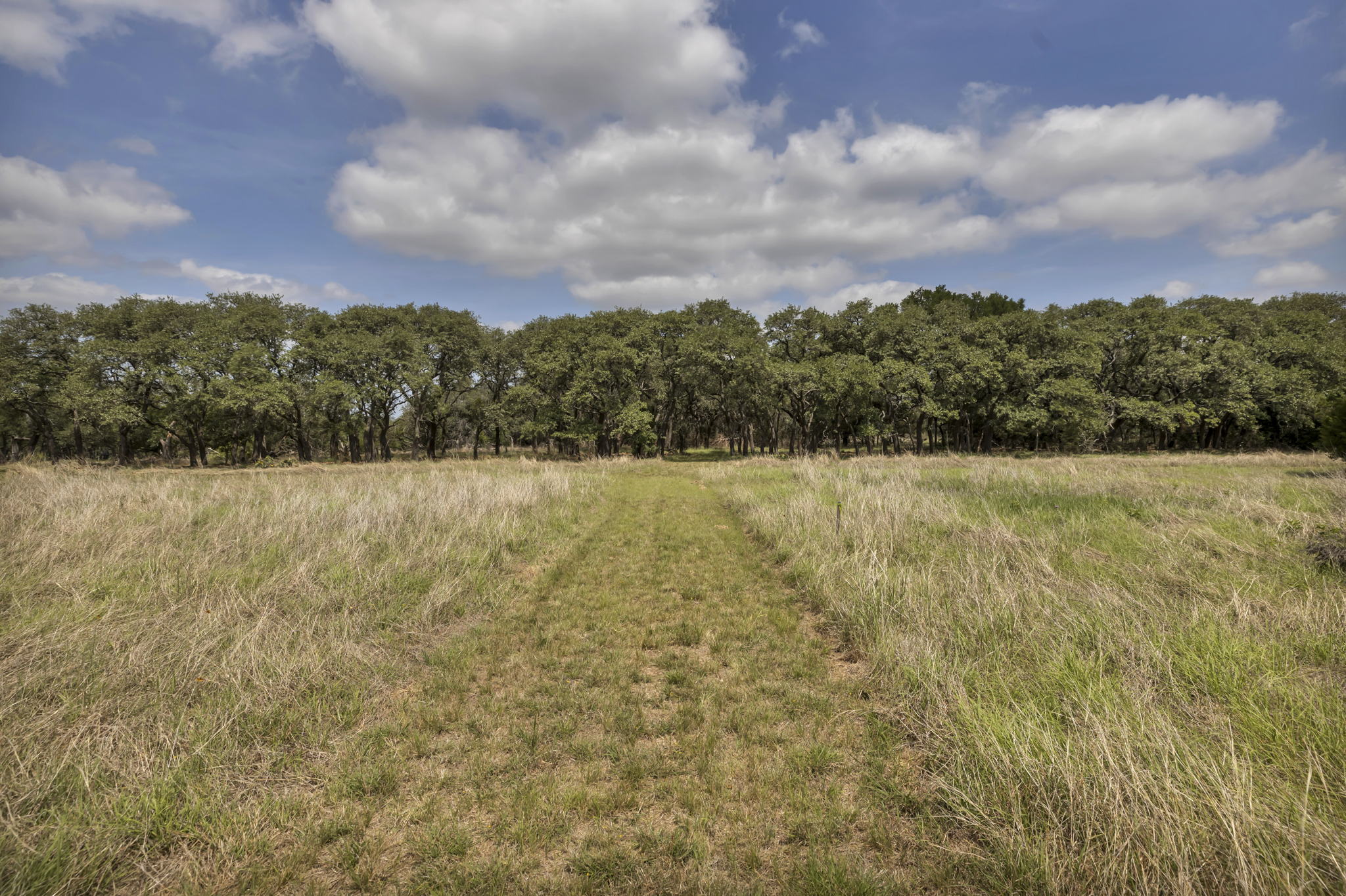 2888 Cedar Hollow Rd, Georgetown, TX 78628, USA Photo 4