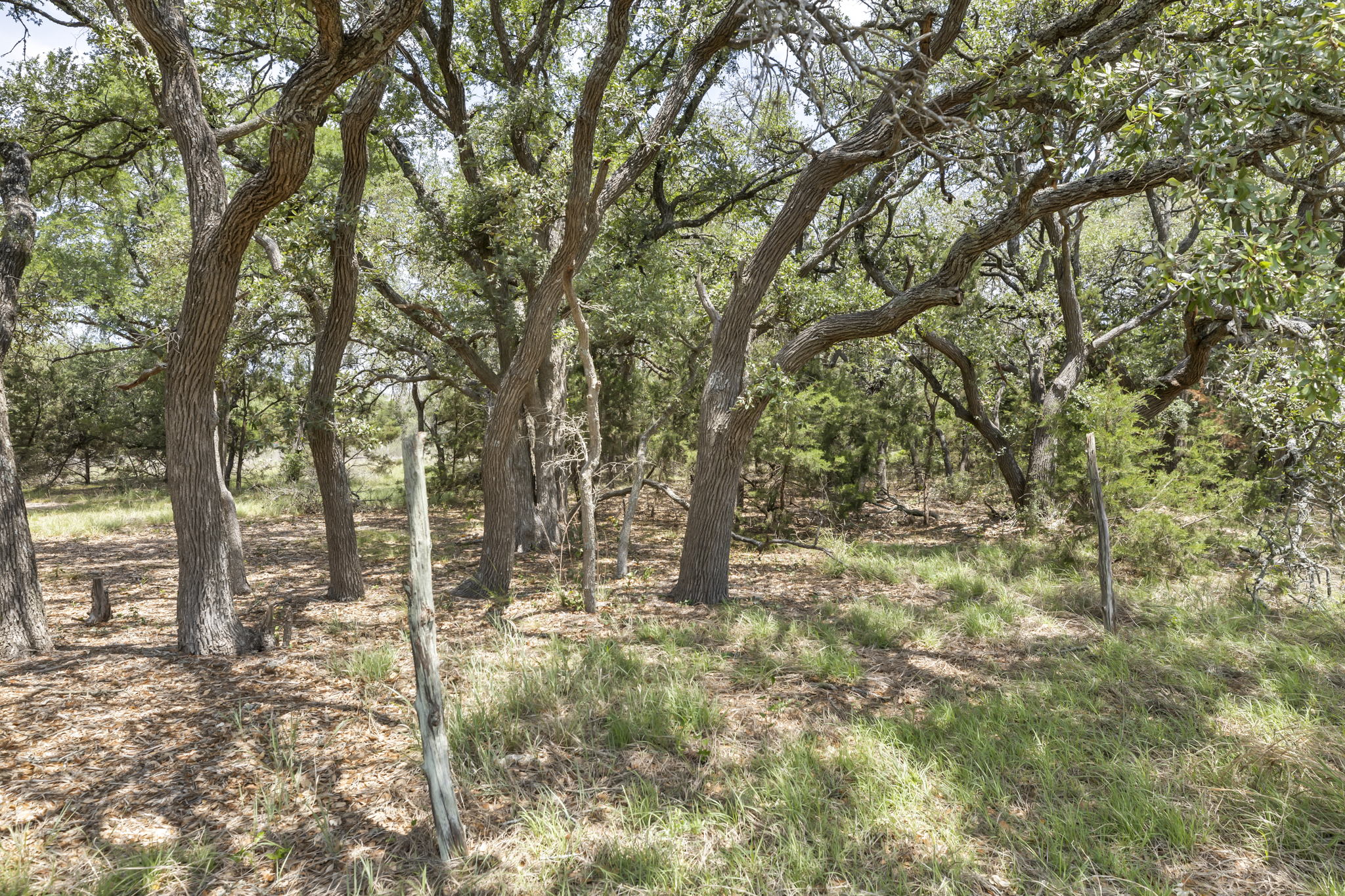 2888 Cedar Hollow Rd, Georgetown, TX 78628, USA Photo 17