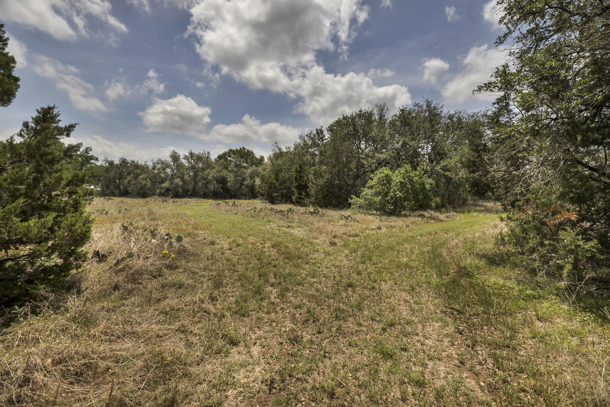 2888 Cedar Hollow Rd, Georgetown, TX 78628, USA Photo 1