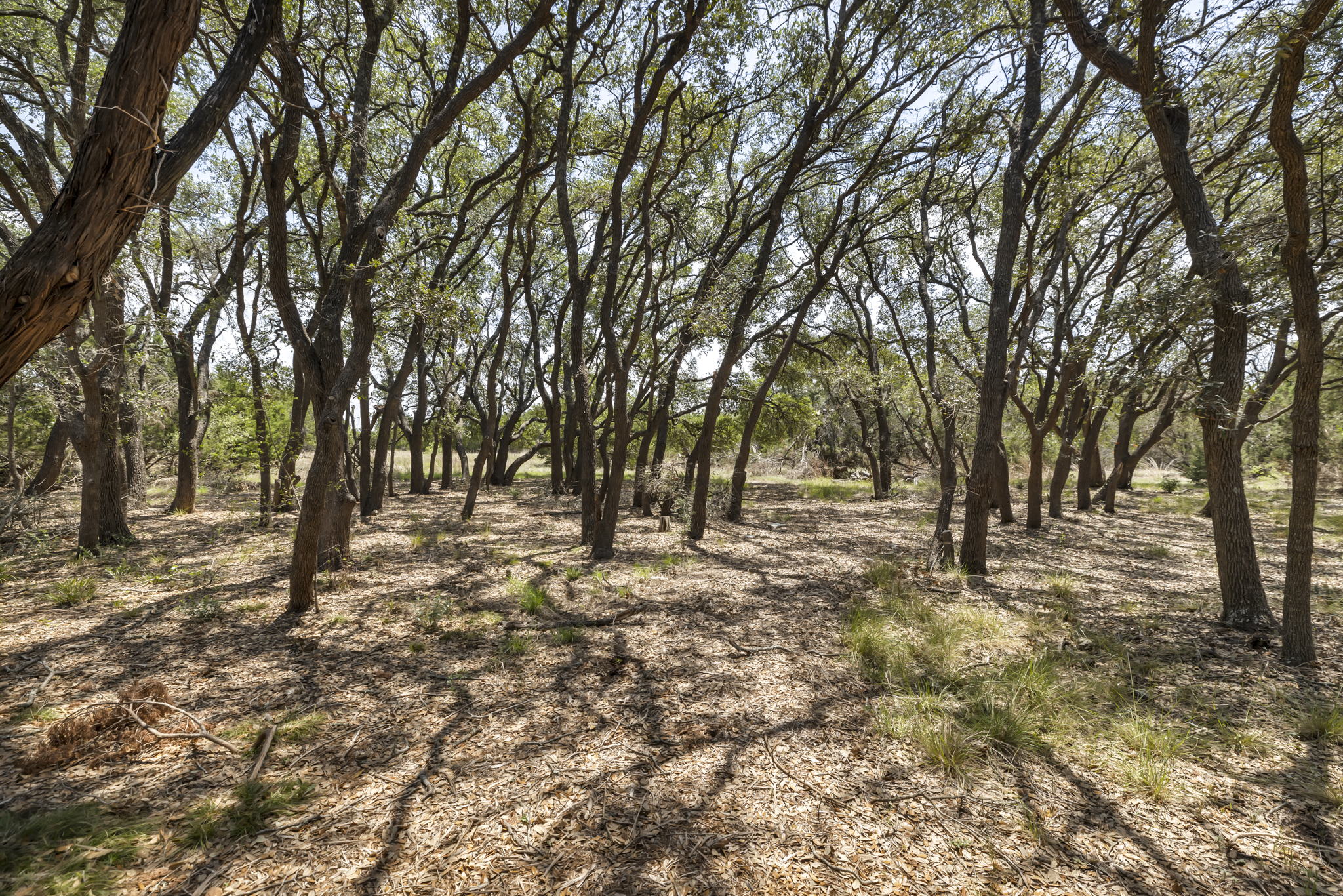 2888 Cedar Hollow Rd, Georgetown, TX 78628, USA Photo 22