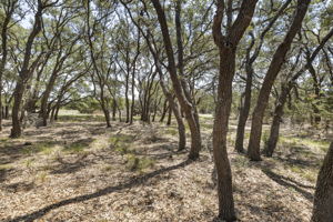 2888 Cedar Hollow Rd, Georgetown, TX 78628, USA Photo 22