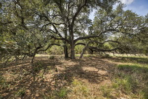 2888 Cedar Hollow Rd, Georgetown, TX 78628, USA Photo 8