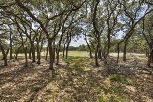 2888 Cedar Hollow Rd, Georgetown, TX 78628, USA Photo 2