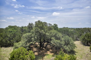 2888 Cedar Hollow Rd, Georgetown, TX 78628, USA Photo 33