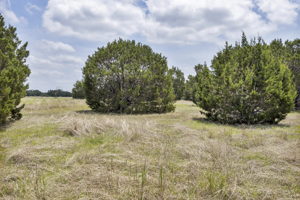 2888 Cedar Hollow Rd, Georgetown, TX 78628, USA Photo 11