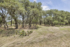 2888 Cedar Hollow Rd, Georgetown, TX 78628, USA Photo 19