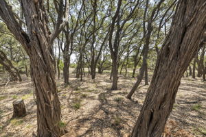 2888 Cedar Hollow Rd, Georgetown, TX 78628, USA Photo 20