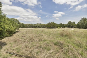 2888 Cedar Hollow Rd, Georgetown, TX 78628, USA Photo 9