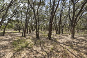 2888 Cedar Hollow Rd, Georgetown, TX 78628, USA Photo 6