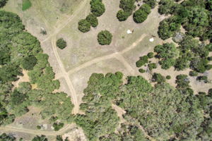 2888 Cedar Hollow Rd, Georgetown, TX 78628, USA Photo 36