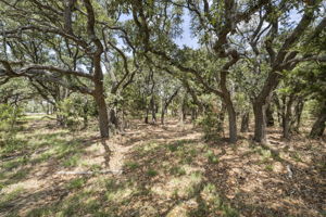 2888 Cedar Hollow Rd, Georgetown, TX 78628, USA Photo 15