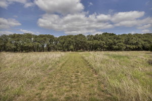 2888 Cedar Hollow Rd, Georgetown, TX 78628, USA Photo 3