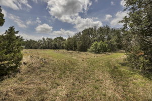 2888 Cedar Hollow Rd, Georgetown, TX 78628, USA Photo 0