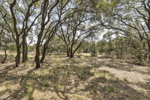 2888 Cedar Hollow Rd, Georgetown, TX 78628, USA Photo 23