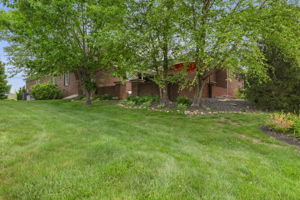 Private Rear Patio
