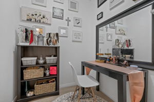 Lower Full Bath Dressing Room