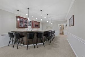 Lower Level Kitchen & Huge Bar Top