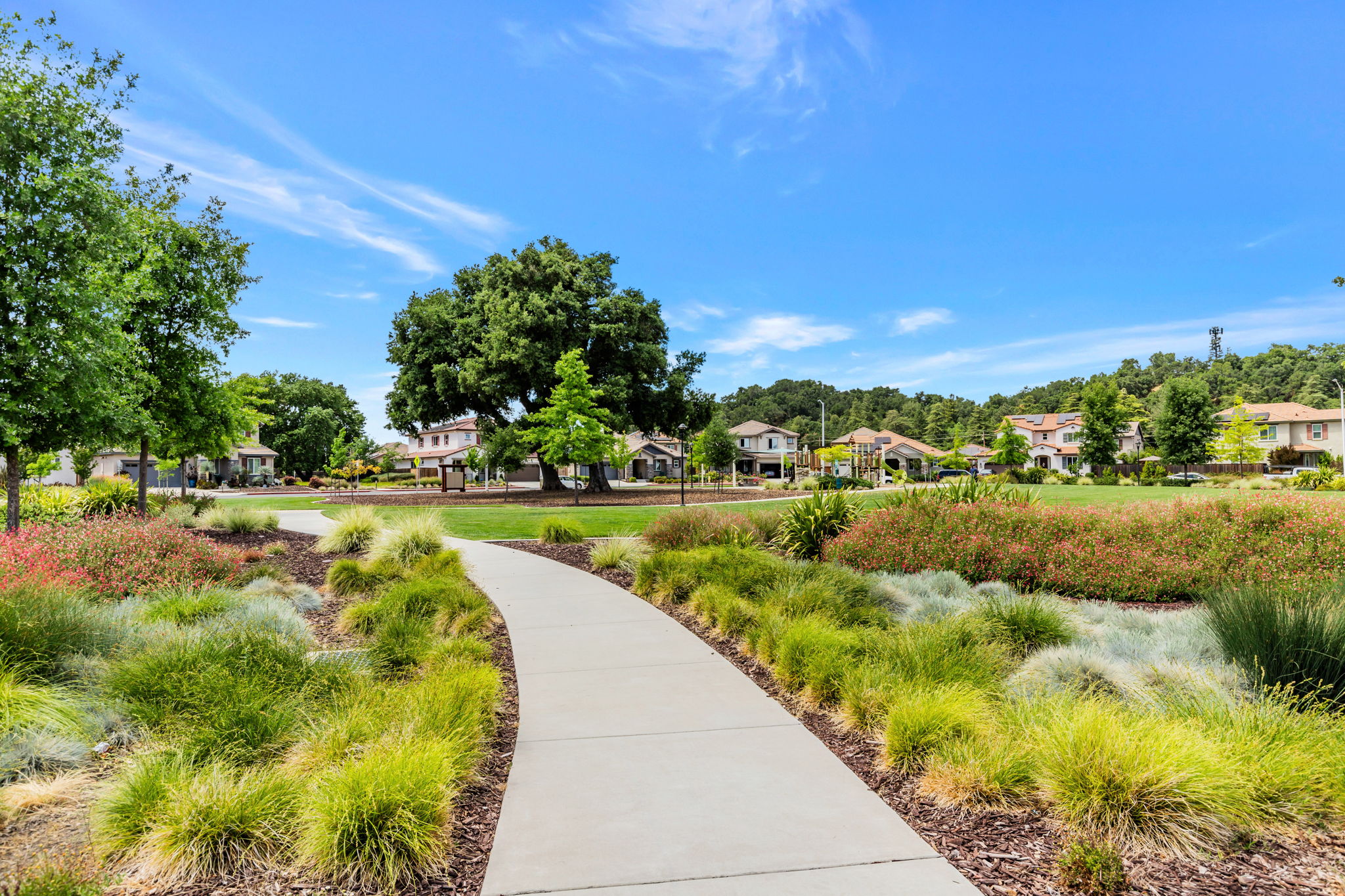 062_2888 Lemon Grass Ln