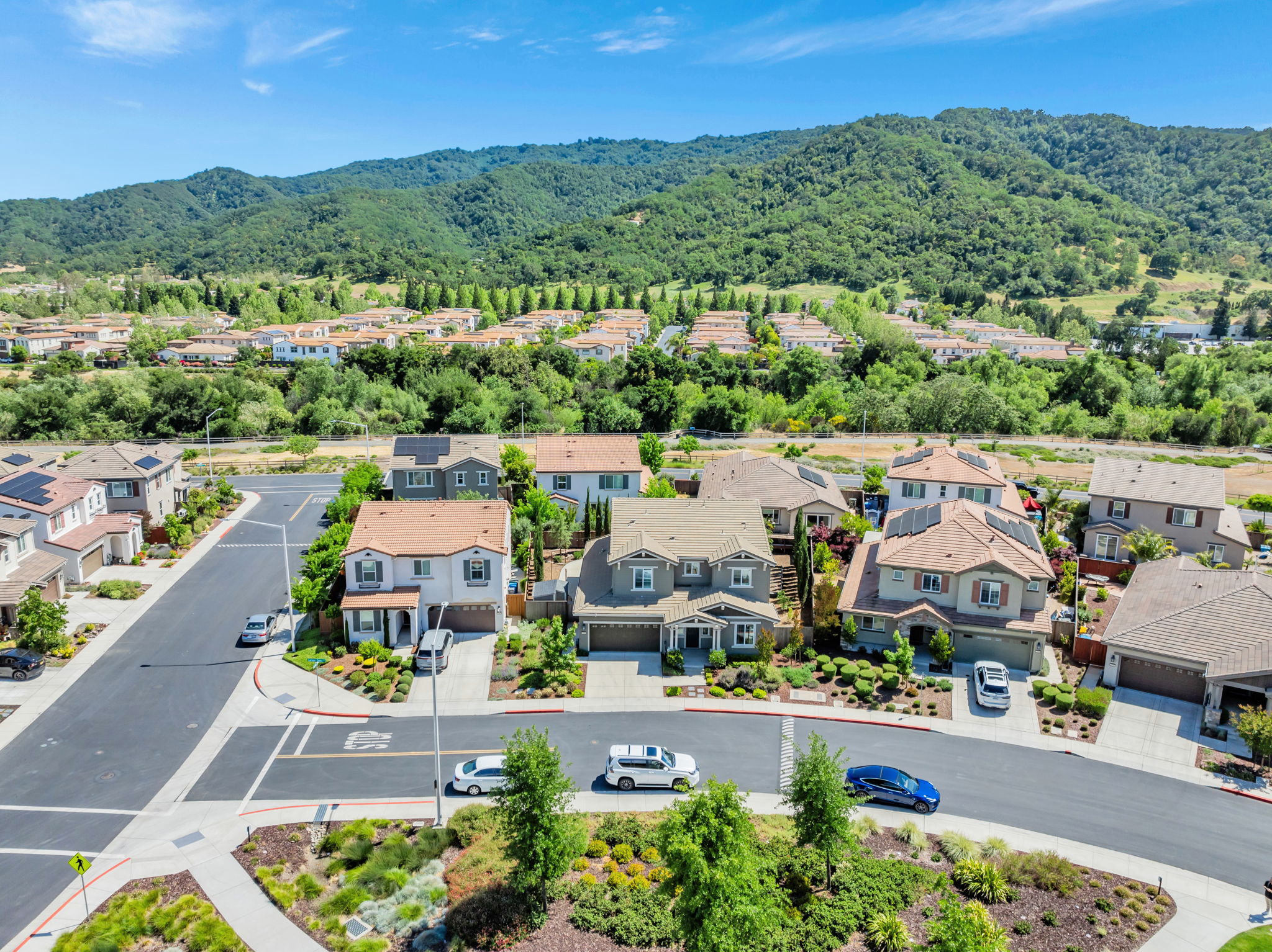 008_AERIAL_ 2888 Lemon Grass Ln