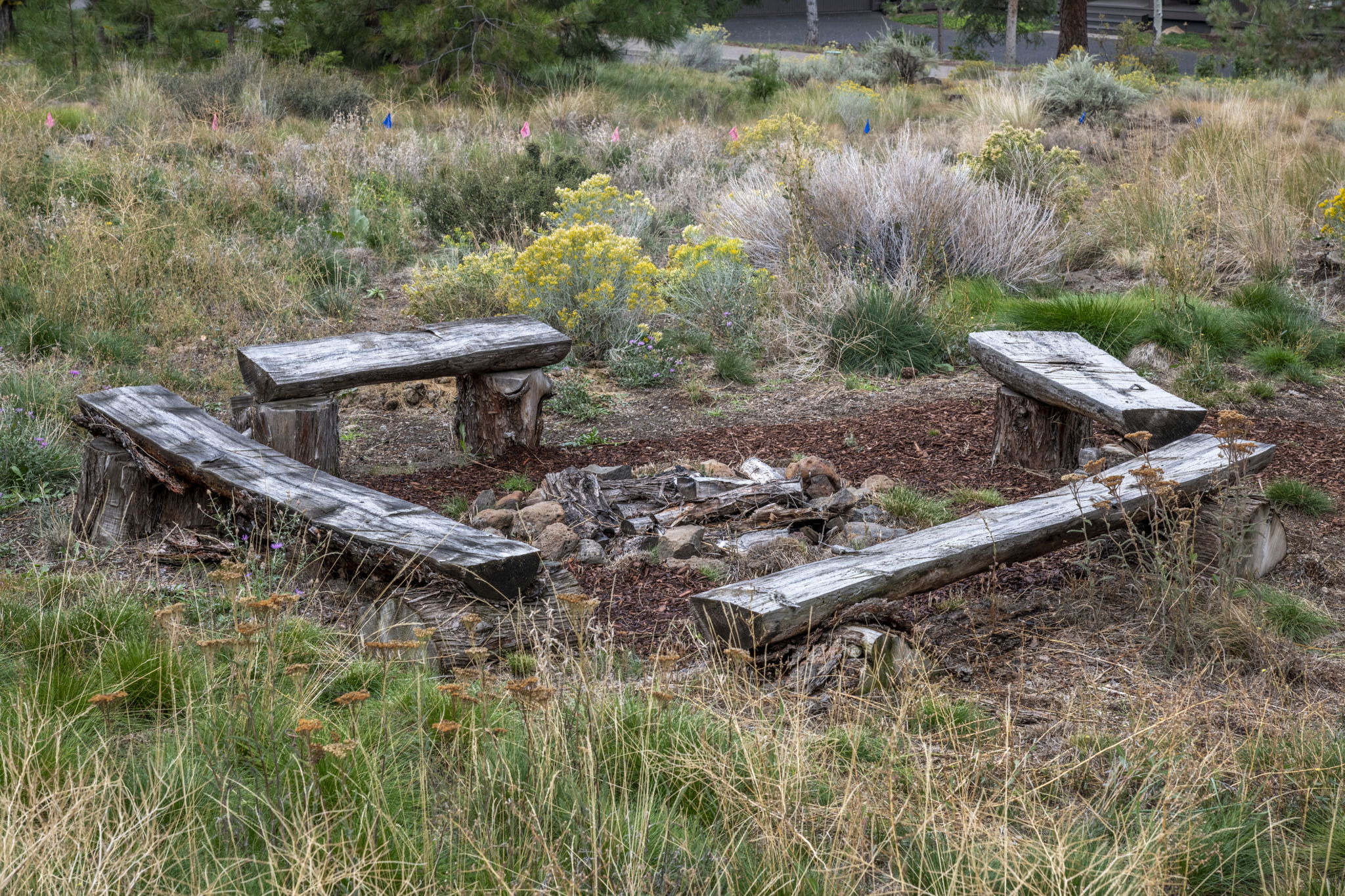 Fire pit for cool evening enjoyment