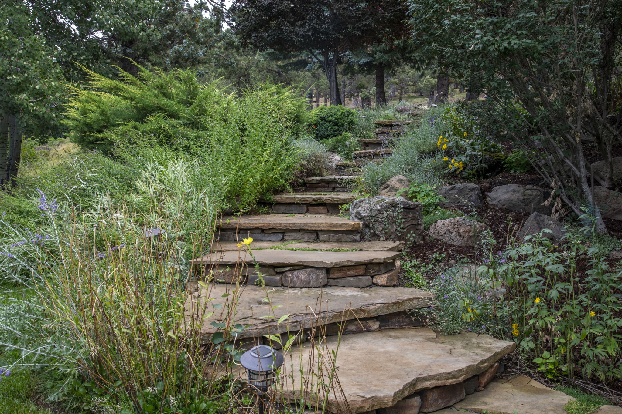 Mature, beautiful landscaping throughout