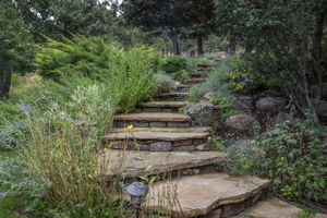 Mature, beautiful landscaping throughout