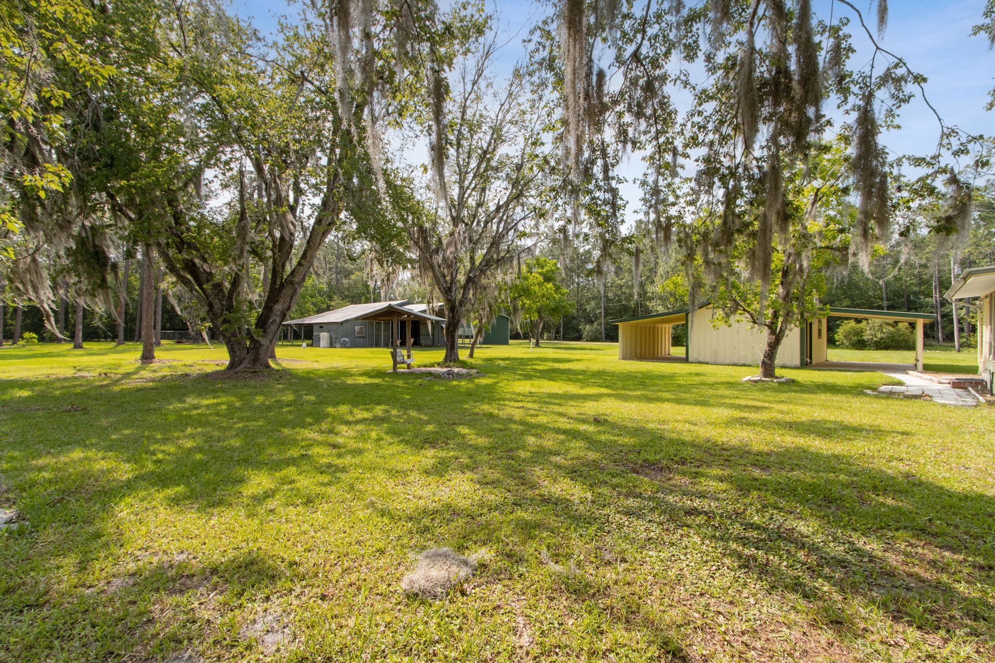 Front Yard