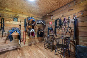  Photo 52