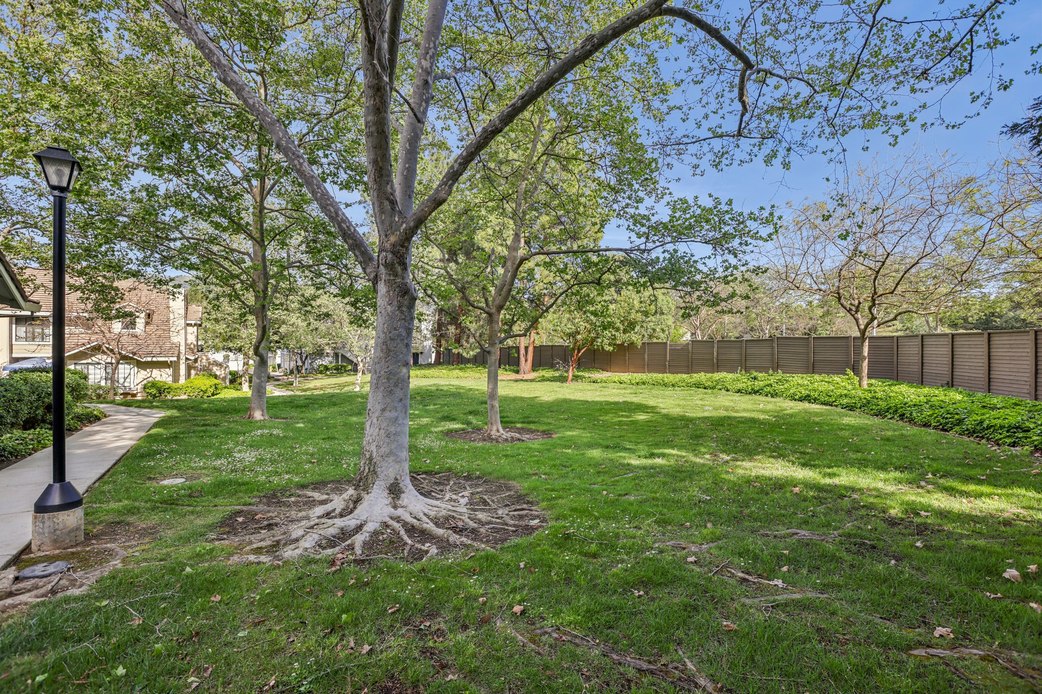 - 2890 Buena Crest Ct-2603-907.jpg