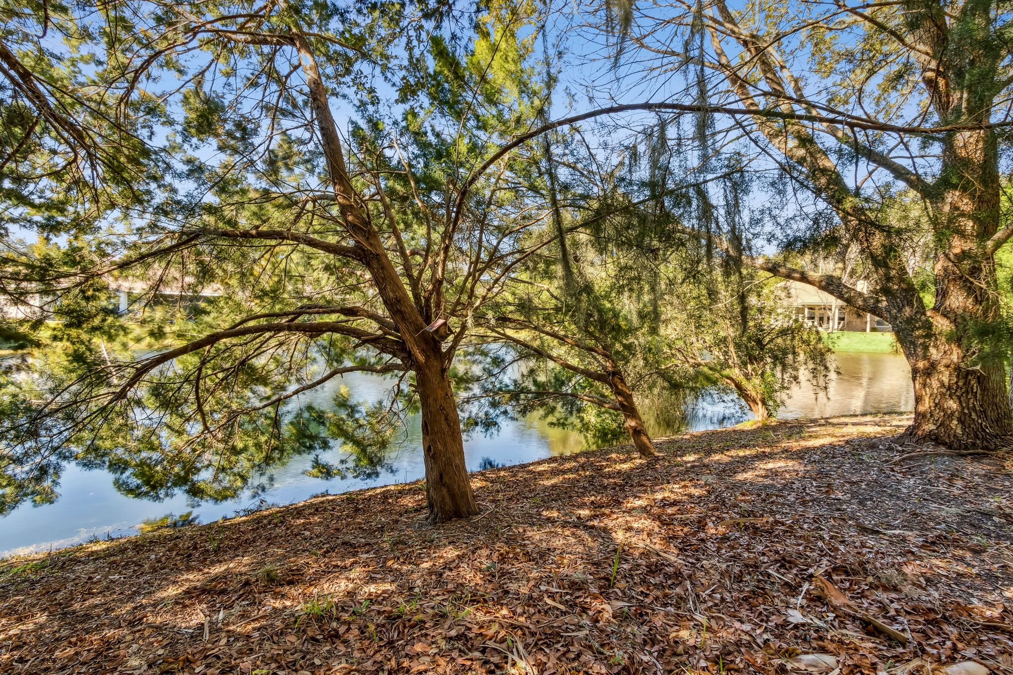 Lake View