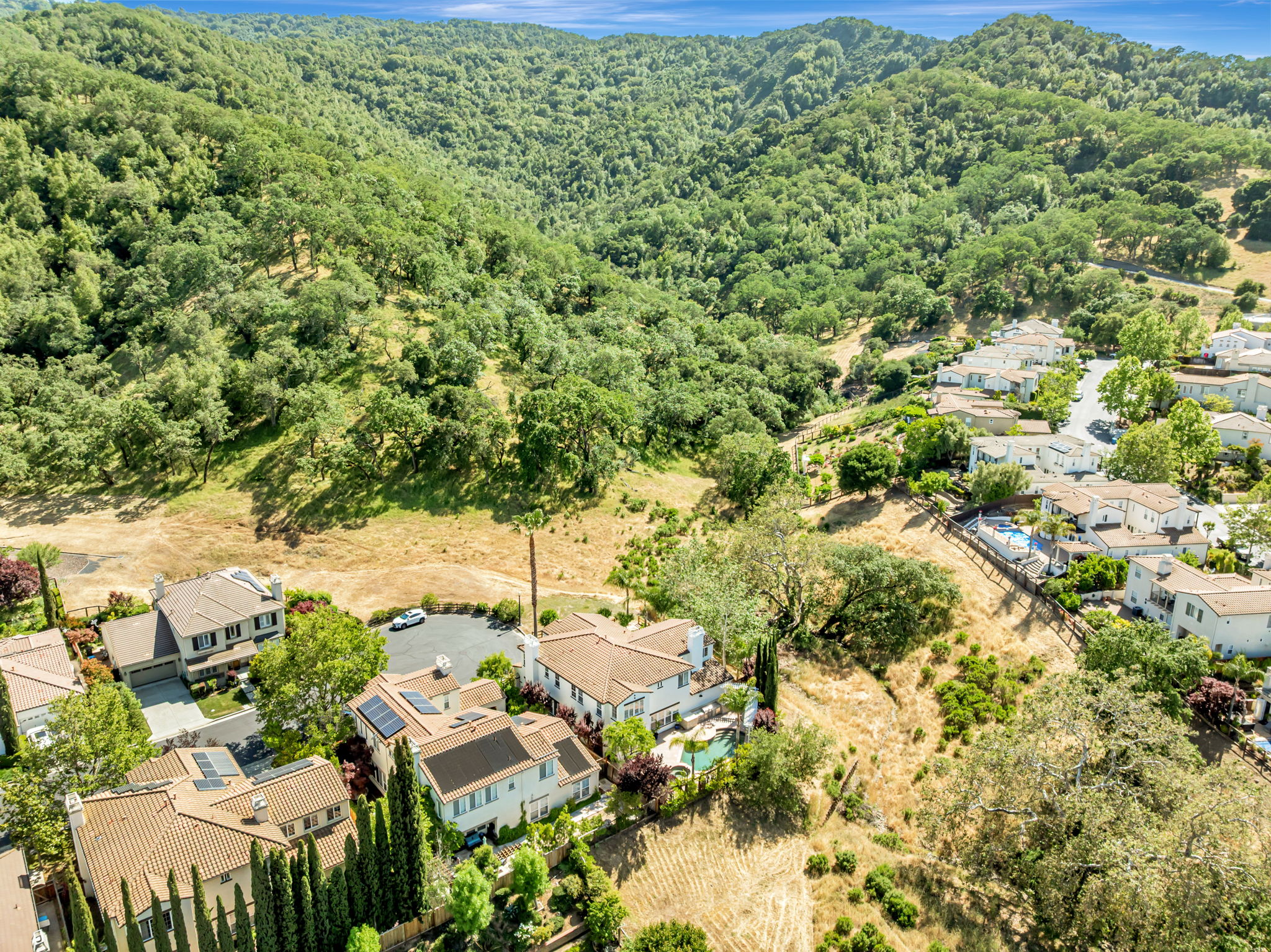007_AERIAL_ 2892 Birkdale Ct