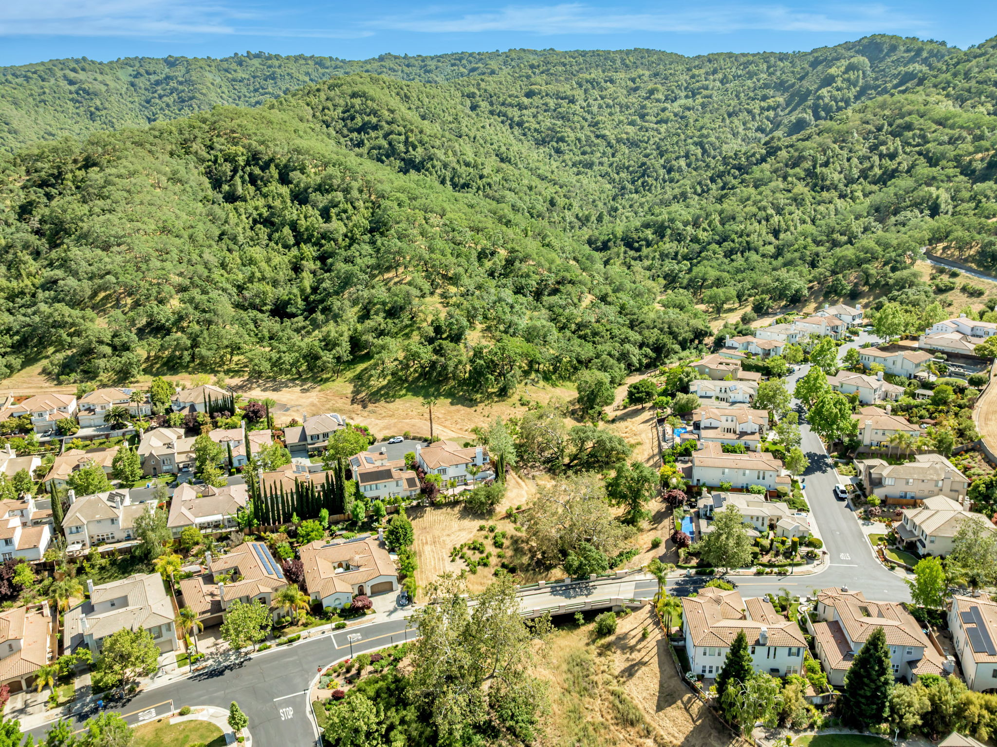 015_AERIAL_ 2892 Birkdale Ct