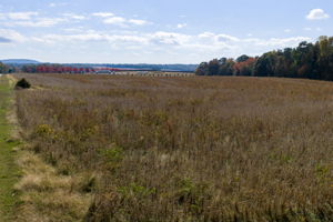  Photo 0
