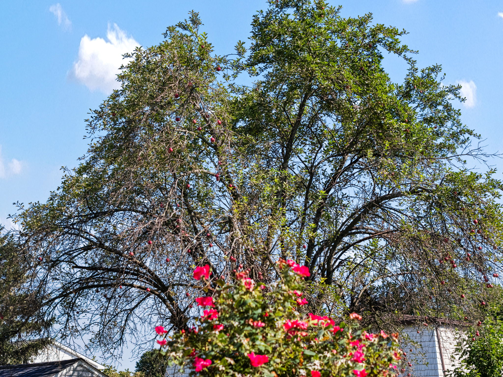 photo-16
