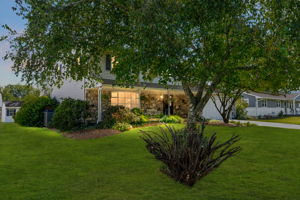 photo-2