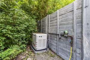 Whole house gas generator