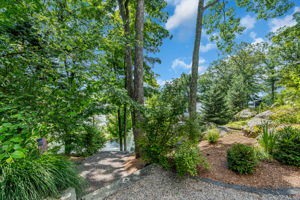 View to drive down path to the lakeside retreat