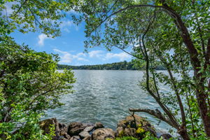 main lake access, deep water on private island