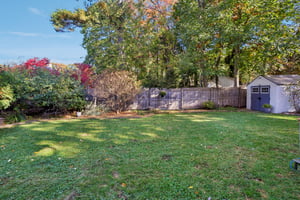 Donald Pl-S2410-069.jpg