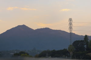  Photo 24