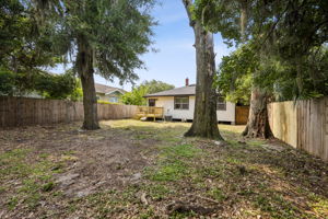 Backyard