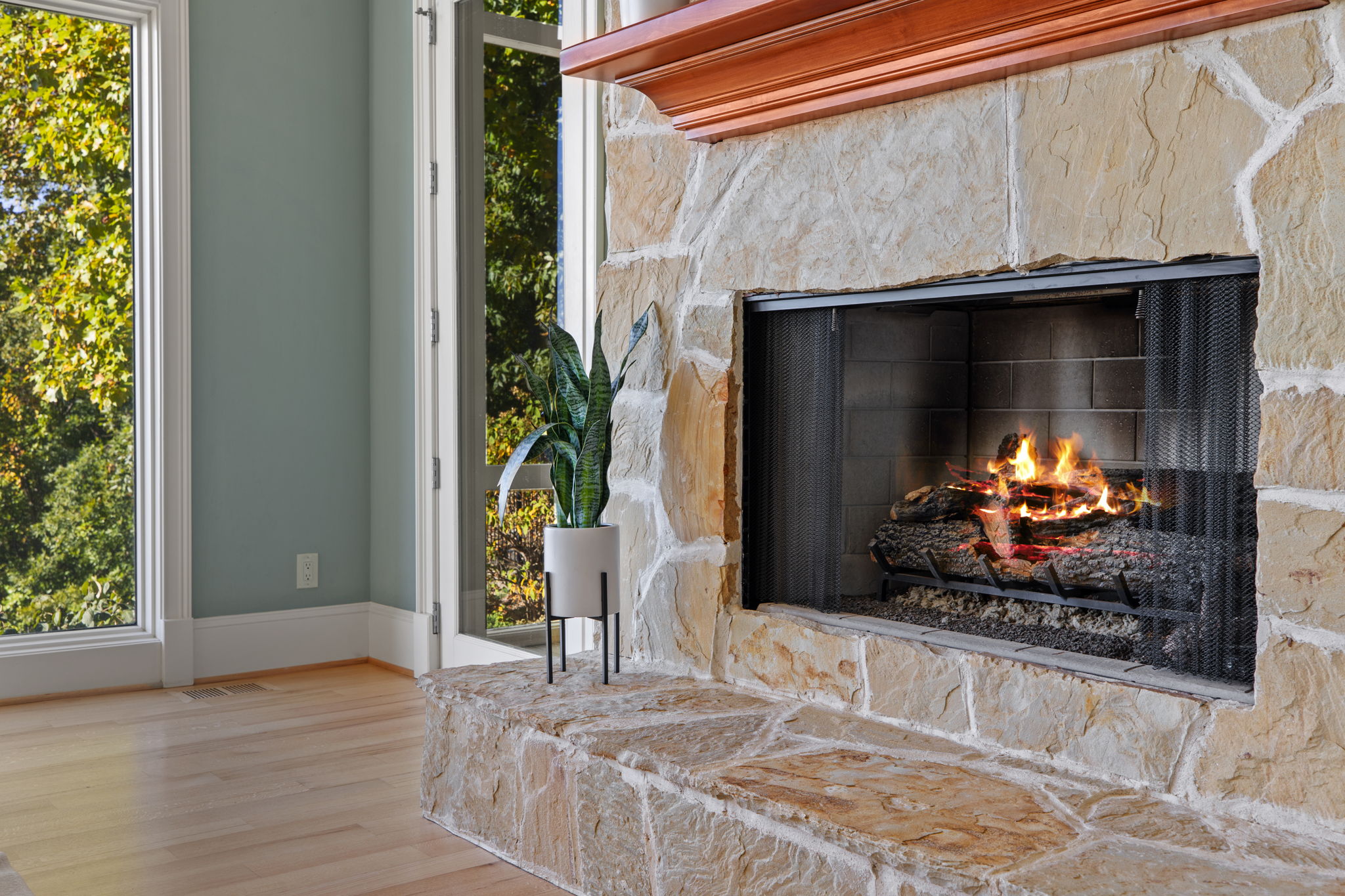 29 Falling Star Way, Landrum, SC 29356, USA Photo 30