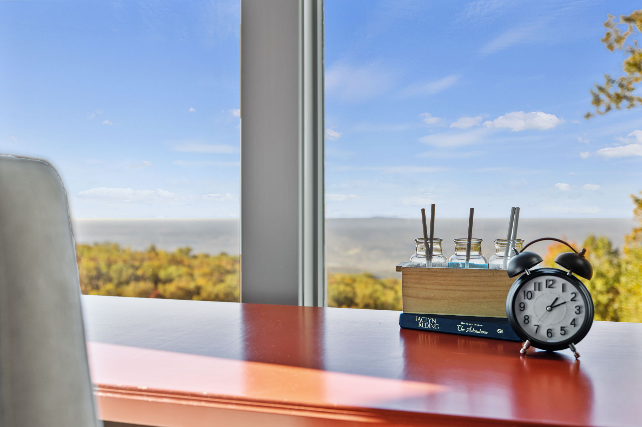 29 Falling Star Way, Landrum, SC 29356, USA Photo 61